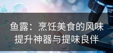 鱼露：烹饪美食的风味提升神器与提味良伴